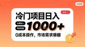 在小红书上发现个冷门路子,需求不小,零成本操作,每天能有1k进账-网赚项目众筹网