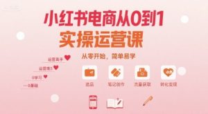 小红书电商从0到1实操运营课,从零开始,简单易学-网赚项目众筹网