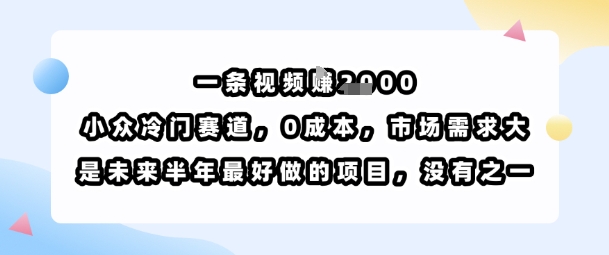 一条视频挣1k，小众冷门赛道，0成本，市场需求大，是未来半年最好做的项目，没有之一-网赚项目众筹网