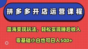 拼多多开店运营课程:蓝海变现玩法,轻松实现睡后收入,零基础小白也可日入5张-网赚项目众筹网