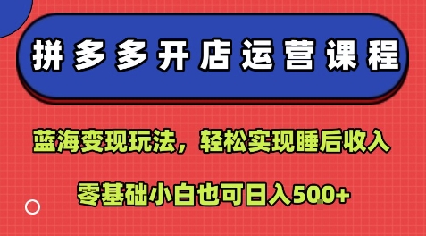 拼多多开店运营课程：蓝海变现玩法，轻松实现睡后收入，零基础小白也可日入5张-网赚项目众筹网