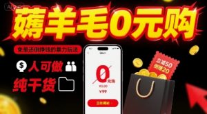 薅羊毛0元购,免单还倒挣钱的暴力玩法,人人可做,纯干货-网赚项目众筹网