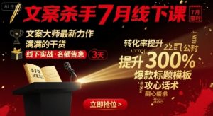 文案杀手7月线下课,文案大师最新力作,满满的干货-网赚项目众筹网