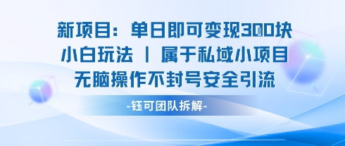 新项目单日即可变现3张的小白玩法无脑操作不封号安全引流-网赚项目众筹网