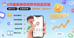 8月最新微信视频号批量剪辑操作方法及变现流程,简单操作,月入1w+-网赚项目众筹网