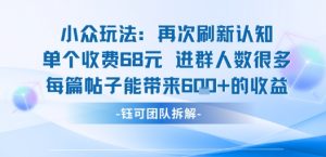 小众玩法再次刷新认知单个收费68米进群人数很多每篇帖子能带来6张的收益-网赚项目众筹网