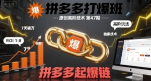 拼多多打爆班原创高阶技术第47期，拼多多起爆链-网赚项目众筹网