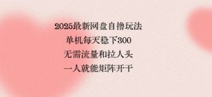 2025最新网盘自撸玩法,单机每天稳下3张,无需流量和拉人头,一个人就可轻松矩阵,全网独一份【揭秘】-网赚项目众筹网