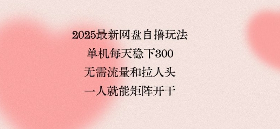 2025最新网盘自撸玩法，单机每天稳下3张，无需流量和拉人头，一个人就可轻松矩阵，全网独一份【揭秘】-网赚项目众筹网
