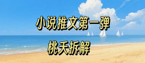 小说推文项目操作全流程第一弹，0粉就能做，门槛低非常适合新手-网赚项目众筹网