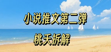 小说推文项目操作全流程第二弹，0粉就能做，门槛低非常适合新手-网赚项目众筹网