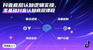 抖音底层认知逻辑实操,零基础抖音认知底层课程-网赚项目众筹网