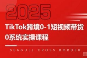 TikTok跨境0-1短视频带货,系统拆解TikTok跨境带货全链路,实现跨境可持续盈利-网赚项目众筹网