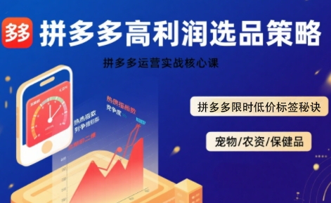 拼多多选品暴利技术实战课，拼多多高利润选品策略，拼多多限时低价标签秘诀-网赚项目众筹网