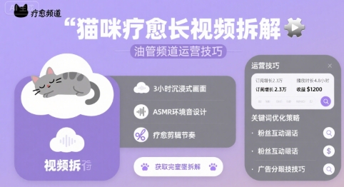 猫咪疗愈长视频拆解 &油管频道运营技巧-网赚项目众筹网
