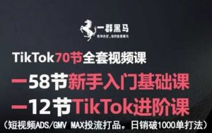 TikTok全套视频课,新手入门+进阶课,短视频ADS-GMV MAX投流打品,日销破1000单打法-网赚项目众筹网