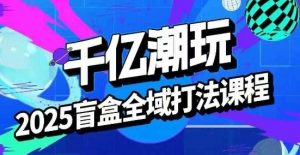2025盲盒全域全套打法课,盲盒起号、选品、话术、私域等-网赚项目众筹网
