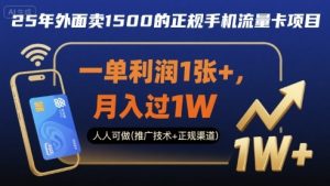 25年外面卖1500的正规手机流量卡项目,一单利润1张+,月入过1W,人人可做(推广技术+正规渠道)【揭秘】-网赚项目众筹网