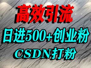 怎么打创业粉?CSDN又一个你不知道的打粉引流神秘平台,单人日引500+精准流量-网赚项目众筹网