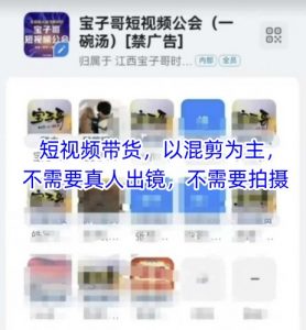 宝子哥头部团队短视频带货,以混剪为主,不需要真人出镜,不需要拍摄【更新8月】-网赚项目众筹网