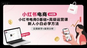小红书电商0基础+高级运营课,新人小白必学方法,实操教学+案例分析-网赚项目众筹网