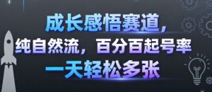 成长感悟赛道,纯自然流,百分百起号率 一天轻松多张-网赚项目众筹网