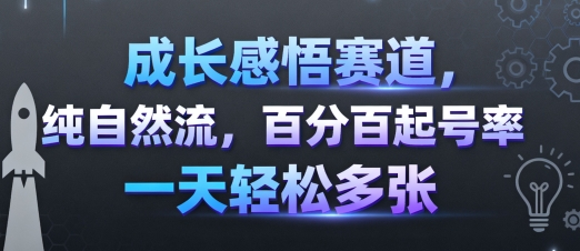 成长感悟赛道，纯自然流，百分百起号率 一天轻松多张-网赚项目众筹网