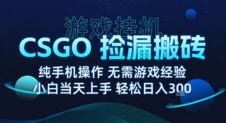 8月最新游戏搬砖，CSGO纯挂G，不需要玩游戏，实现真挂G，月入1W+【揭秘】-网赚项目众筹网