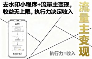 去水印小程序+流量主变现,收益无上限,执行力决定收入-网赚项目众筹网