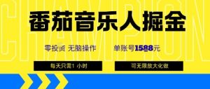 番茄音乐人掘金,单账号最高可撸1k+,可无限矩阵去做,零投入-网赚项目众筹网
