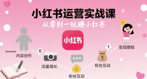 小红书运营实战课,从零到一玩賺小红书-网赚项目众筹网