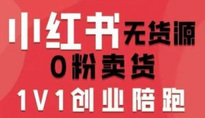 小红书无货源0粉电商课,开店准备、选品策略、笔记撰写、视频剪辑、数据分析、账号打造、资料文档-网赚项目众筹网