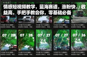 情感短视频教学,蓝海赛道,涨粉快,收益高,手把手教会你,零基础必备-网赚项目众筹网