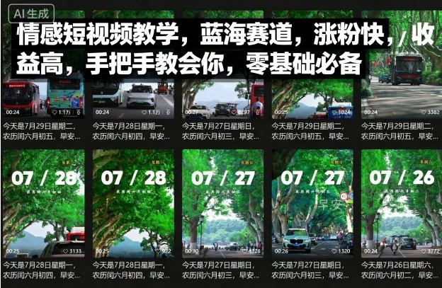 情感短视频教学，蓝海赛道，涨粉快，收益高，手把手教会你，零基础必备-网赚项目众筹网