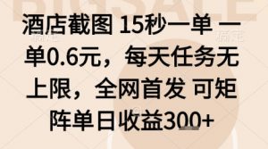 酒店截图项目,15秒一单,一单0.6米,每天任务无上限,全网首发可矩阵单日收益3张+【揭秘】-网赚项目众筹网