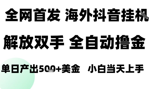 海外抖音无人直播，单日产出1.5k+，长期稳定，新手可玩，无脑操作【揭秘】-网赚项目众筹网