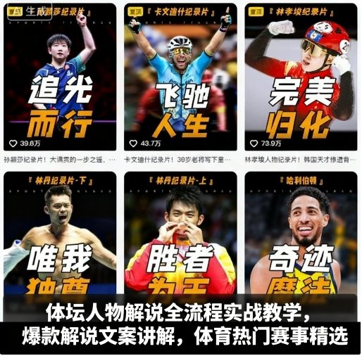 体坛人物解说全流程实战教学，爆款解说文案讲解，体育热门赛事精选-网赚项目众筹网