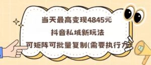 当天最高变现1k+,抖音私域新玩法,可矩阵可批量复制-网赚项目众筹网