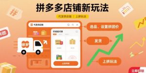 拼多多店铺新玩法,代发供应链上拼玩法-网赚项目众筹网