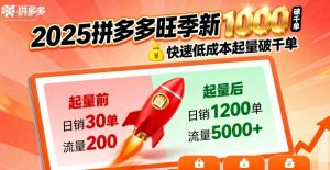 2025拼多多旺季新老店铺——快速低成本起量破千单-网赚项目众筹网