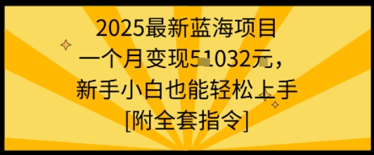 2025最新蓝海项目一个月变现1w+新手小白也能轻松上手【附全套指令】-网赚项目众筹网