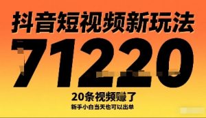抖音短视频新玩法,20条视频挣了1w+,新手小白当天也可以出单-网赚项目众筹网