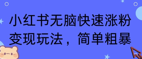 小红书无脑快速涨粉变现玩法，简单粗暴-网赚项目众筹网