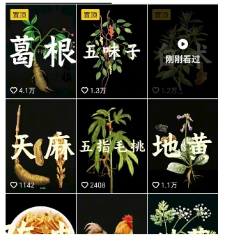 抖音中草药赛道，用AI做中草药故事视频，45条作品涨粉13W，橱窗带货猛猛出单-网赚项目众筹网