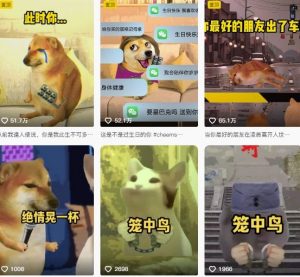 狗头幸运星UE5动画全套课程,从入门到实操全掌握-网赚项目众筹网