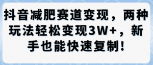 抖音减肥赛道变现，两种玩法轻松变现3W+，新手也能快速复制-网赚项目众筹网