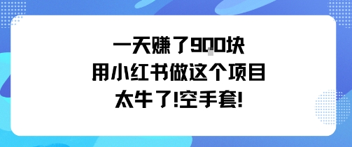 一天挣了9张用小红书做这个项目太牛了，空手套-网赚项目众筹网