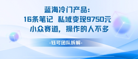 蓝海项目：16条笔记私域变现9750米小众赛道操作的人不多-网赚项目众筹网