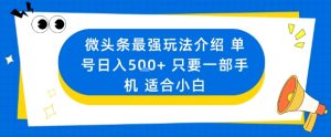 微头条最强玩法介绍一个号日入5张+只要一部手机适合小白-网赚项目众筹网