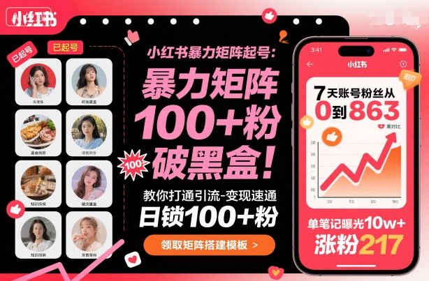 小红书暴力矩阵起号，教你打通引流-变现速通，日锁100+粉，破流量黑盒-网赚项目众筹网